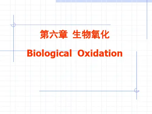 第六章 生物氧化