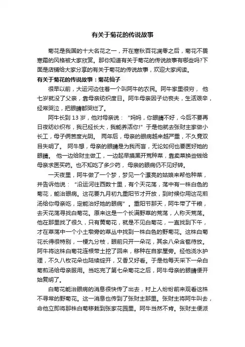 有关于菊花的传说故事