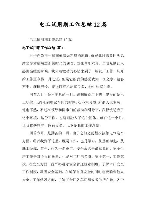 电工试用期工作总结12篇
