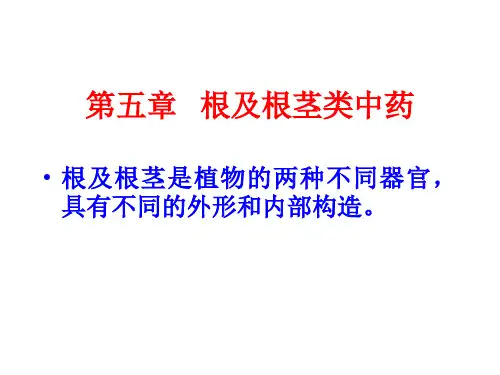 第五章 根及根茎类中药概述