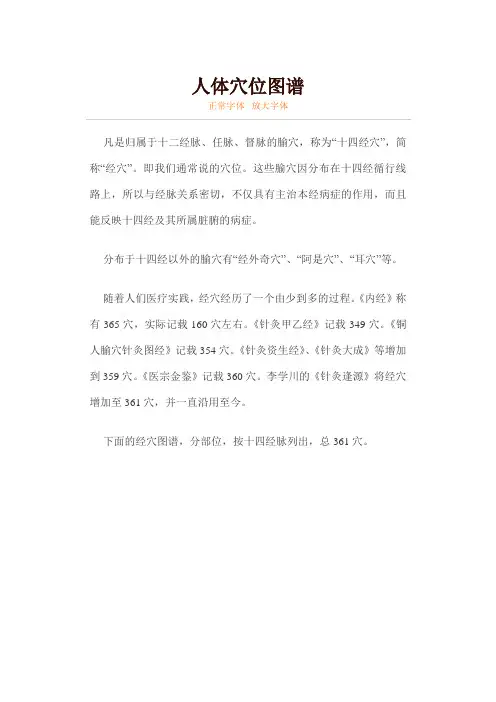 人体穴位图谱