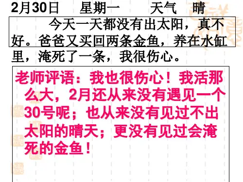 写作《说真话,抒真情》ppt课件(8页)