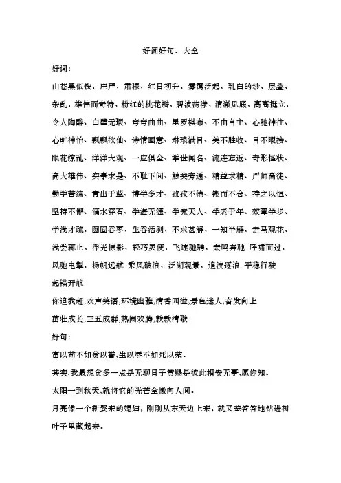 好词好句。大全