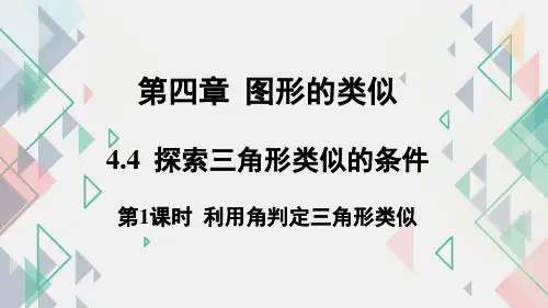 探索三角形相似的条件课件北师大版数学九年级上册