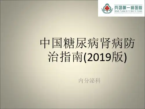 中国糖尿病肾病防治指南(2019版)
