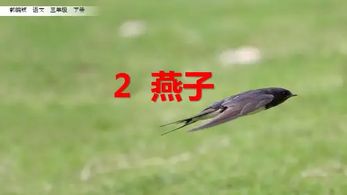 部编版三年级语文下册《燕子》公开课课件(第二课时)