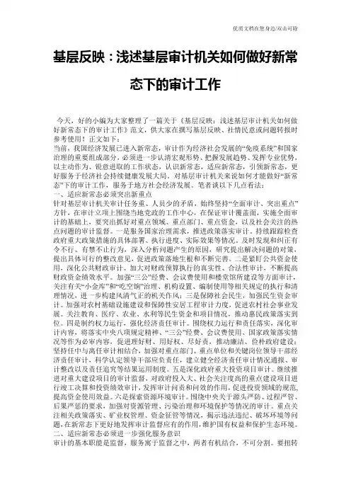 基层反映：浅述基层审计机关如何做好新常态下的审计工作