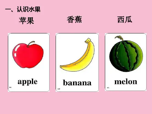 小学英语常用单词启蒙英语单词幼儿英语图片大全ppt课件