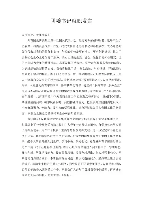 团委书记就职发言稿
