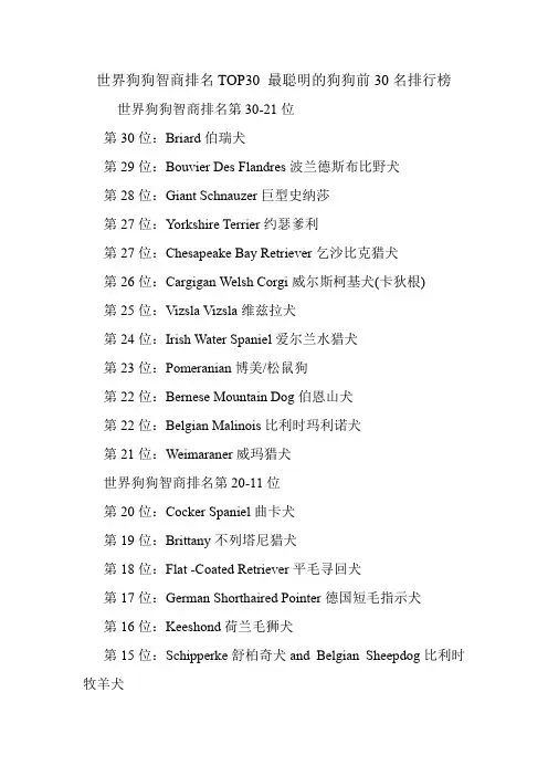 世界狗狗智商排名TOP30 最聪明的狗狗前30名排行榜