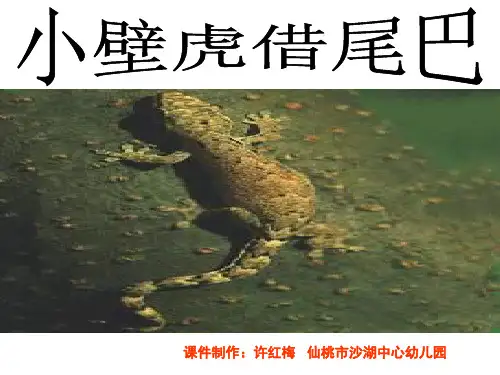 小壁虎借尾巴.ppt
