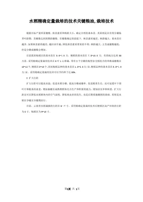 水稻精确定量栽培的技术关键粮油,栽培技术