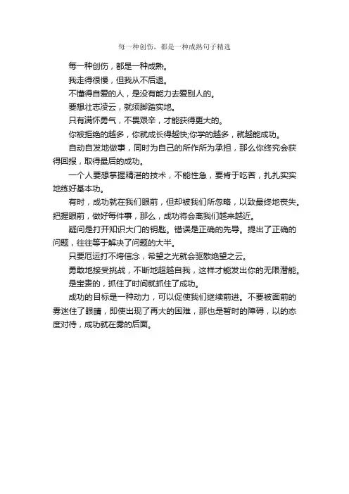 每一种创伤，都是一种成熟句子精选_经典句子