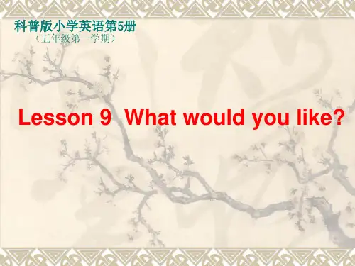 Lesson 9  What would you like  科普版小学五年级第一学期第9课
