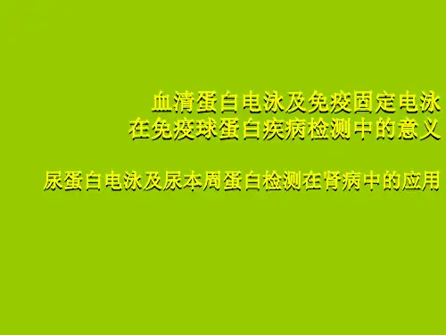 尿蛋白电泳及尿本周蛋白检测在肾病中的应用