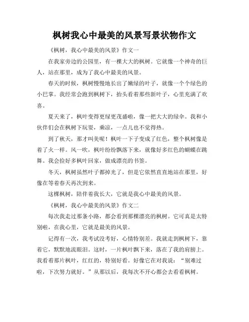 枫树我心中最美的风景写景状物作文