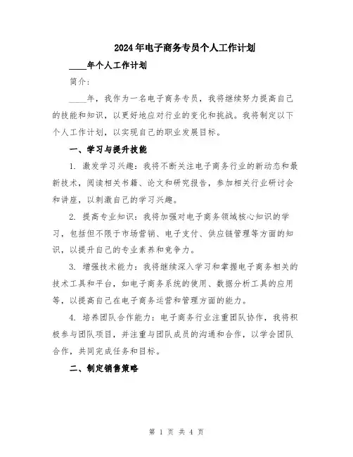 2024年电子商务专员个人工作计划