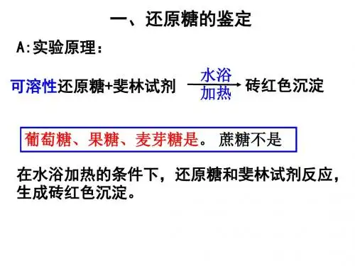 糖类脂肪蛋白质的检测