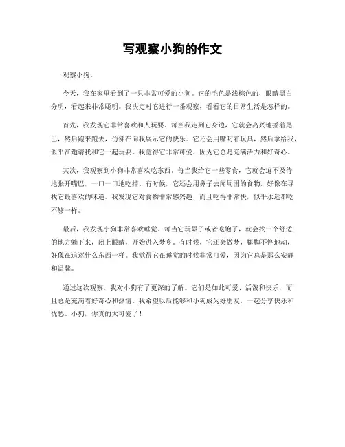 写观察小狗的作文