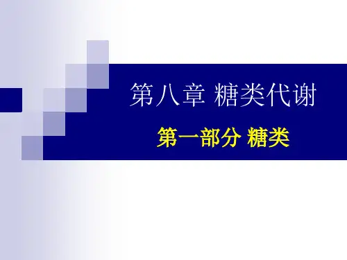生物化学 糖类