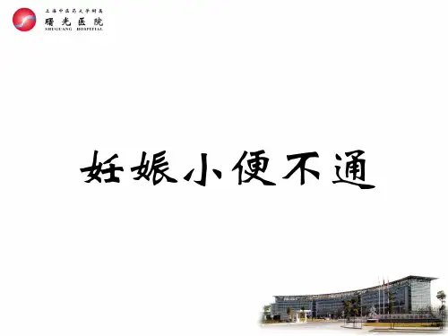 29第十章第14-15节.妊娠小便不通好、妊娠小便淋漓---精品资料