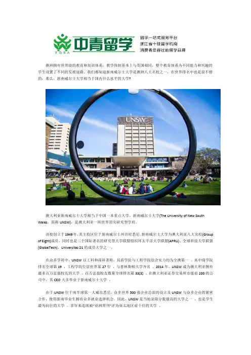 新南威尔士大学相当于国内什么水平的大学？