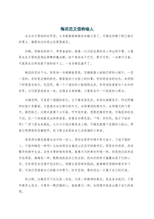 梅花范文借物喻人