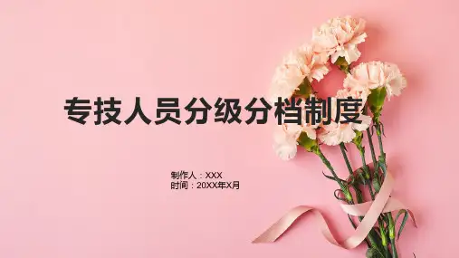 专技人员分级分档制度