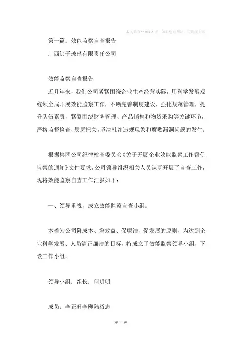 效能监察自查报告