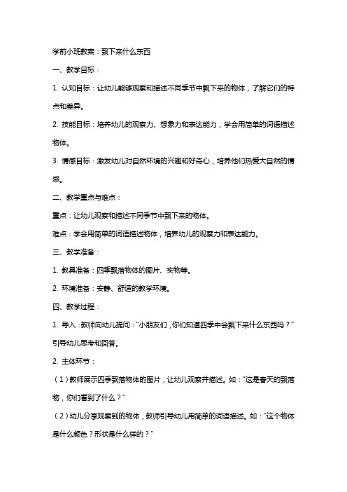 学前小班教案：飘下来什么东西