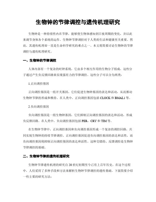 生物钟的节律调控与遗传机理研究