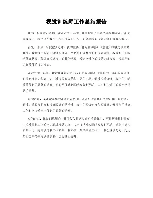 视觉训练师工作总结报告
