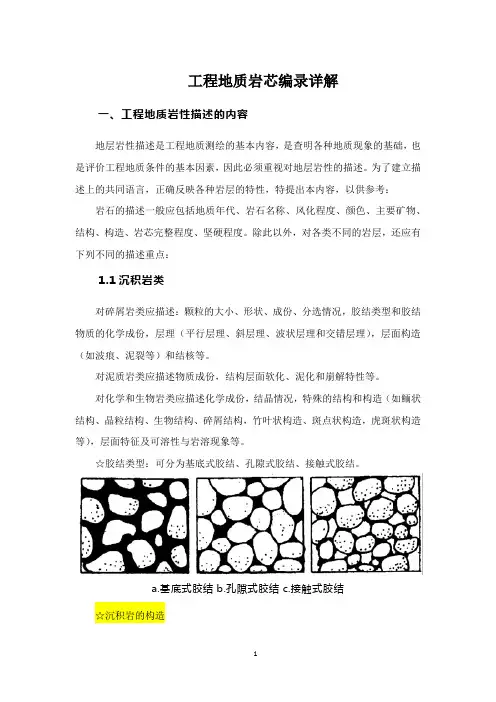 工程地质岩芯编录详解