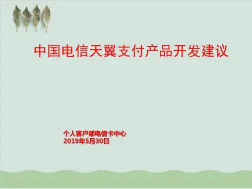 中国电信天翼支付产品开发建议PPT课件( 33页)