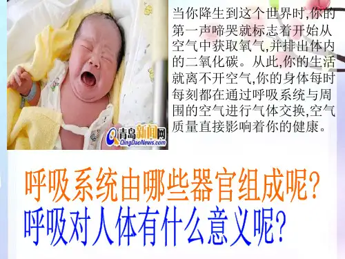 人教版七年级生物下册第四单元第三章第一节呼吸道对空气的处理课件