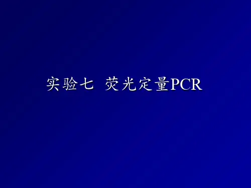 (完整)PPT荧光定量PCR精品PPT资料精品PPT资料