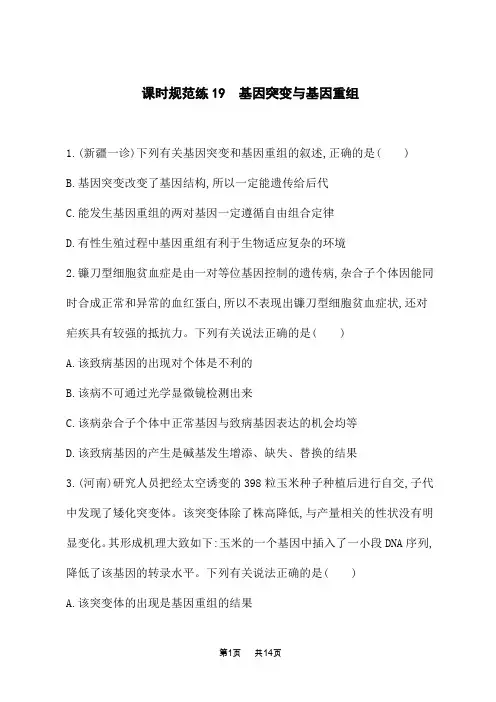 人教版高考生物学一轮复习课后习题 第七单元 生物的变异、育种与进化 基因突变与基因重组