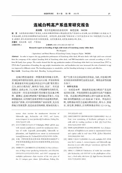 连城白鸭高产系选育研究报告