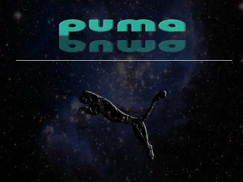 puma的企业分析