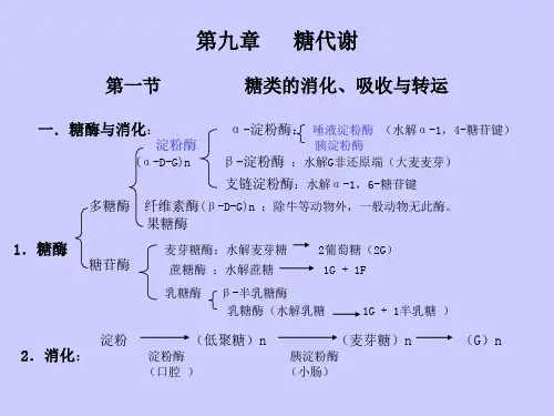 糖代谢