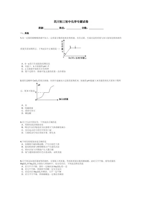 四川初三初中化学专题试卷带答案解析
