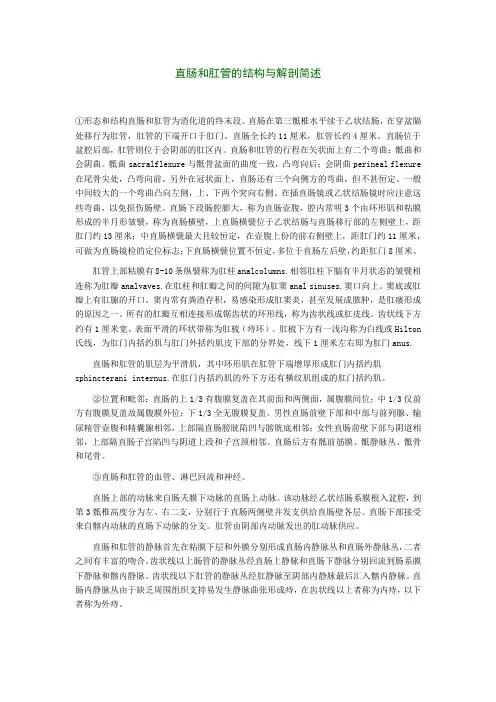 直肠和肛管的结构与解剖简述