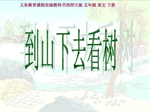 西南师大版五年级语文下册《六单元  24. 到山下去看树》课件_25