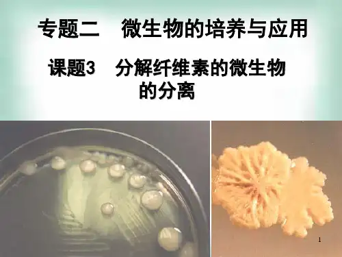 土壤中纤维素分解菌的分离剖析ppt课件