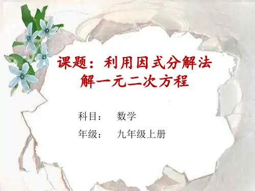 利用因式分解法解一元二次方程  初中初三九年级数学教学课件PPT 人教版