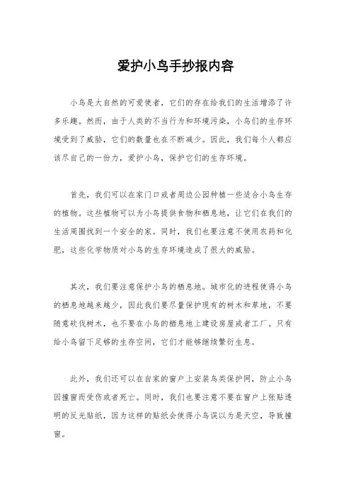 爱护小鸟手抄报内容