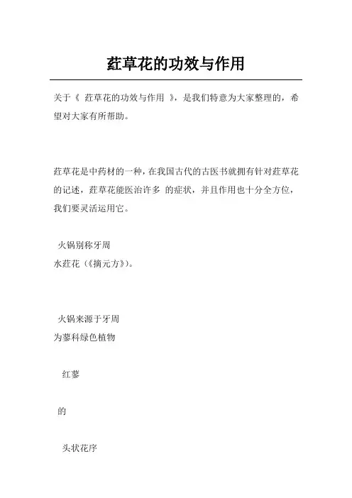 荭草花的功效与作用