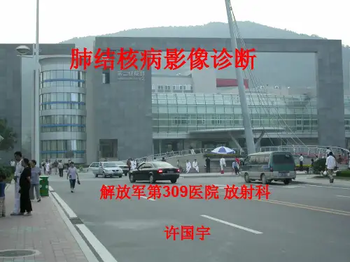 肺结核的影像学特征