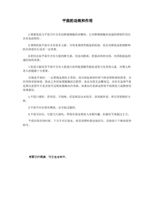 平菇的功效和作用
