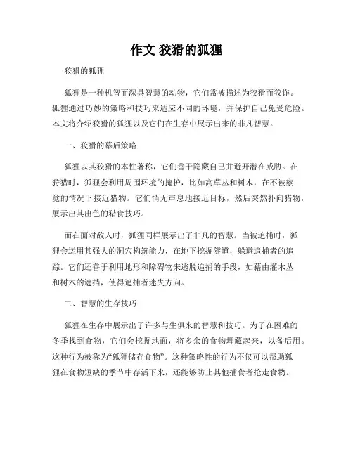 作文 狡猾的狐狸